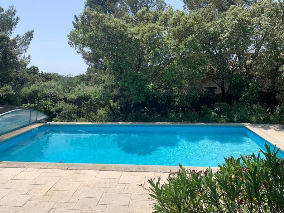 Studio En Rez-De-Jardin Arbore Avec Acces Piscine Et Clim Villeneuve-lès-Avignon Exteriér fotografie