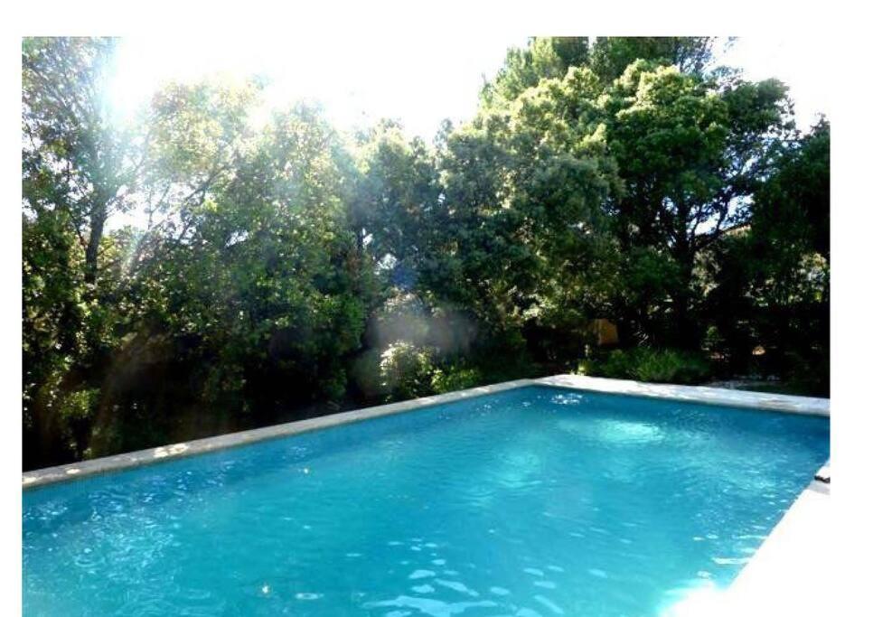 Studio En Rez-De-Jardin Arbore Avec Acces Piscine Et Clim Villeneuve-lès-Avignon Exteriér fotografie